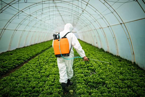 Best Pest Inspection Near Me  in Annapolis, MD