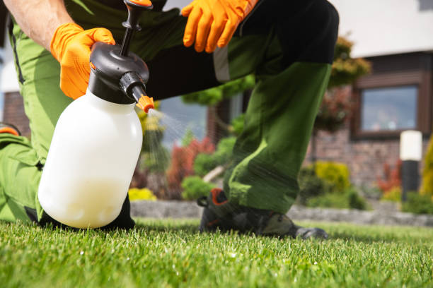 Best Insect Control  in Annapolis, MD