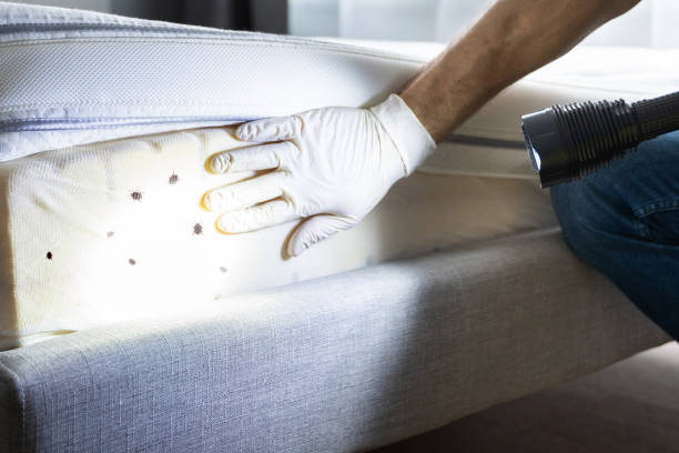 Best Pest Control Near Me  in Annapolis, MD