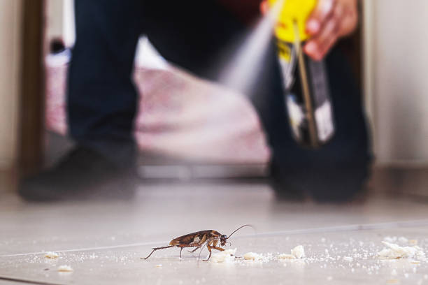 Best Best Pest Control Companies  in Annapolis, MD