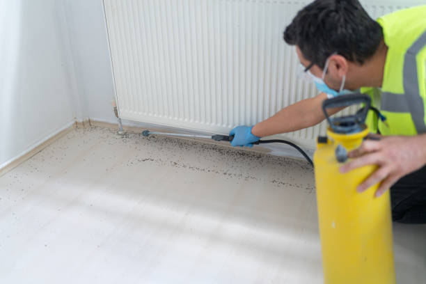 Best Affordable Pest Control Services  in Annapolis, MD
