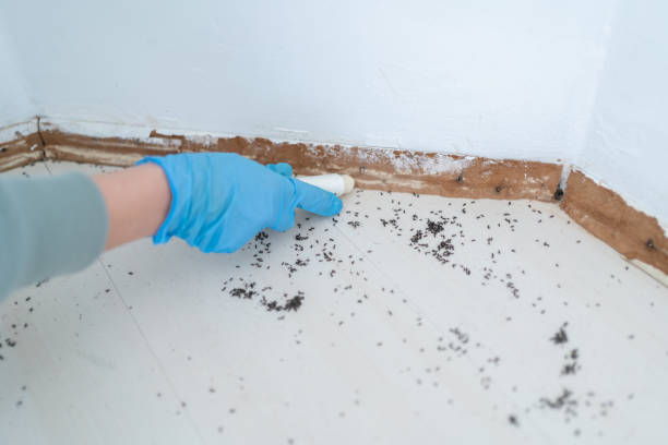 Best Mosquito Control Services  in Annapolis, MD