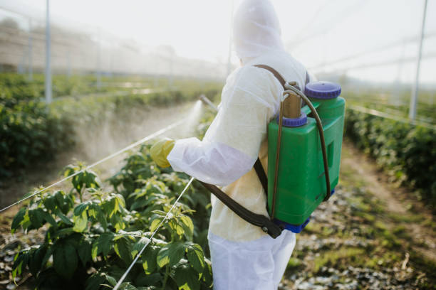 Professional Pest Control in Annapolis, MD